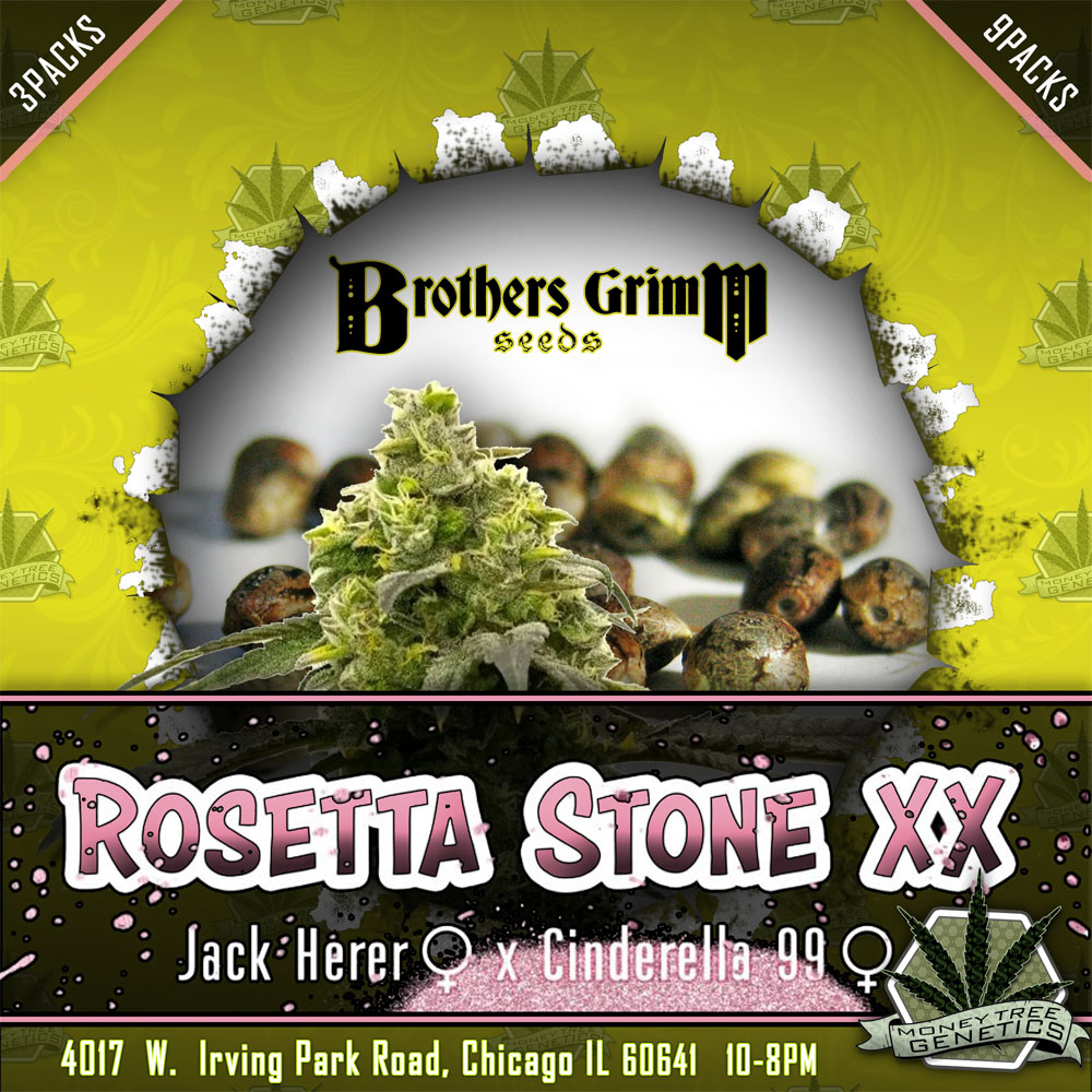 You are currently viewing Brothers Grimm Cannabis Seeds at MoneyTree Genetics