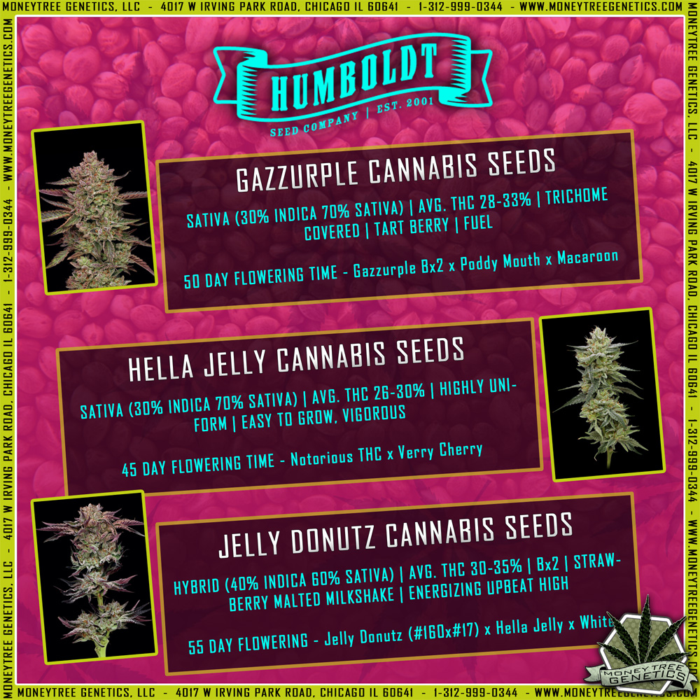 Read more about the article Humboldt Seed Company Feminized Photoperiods