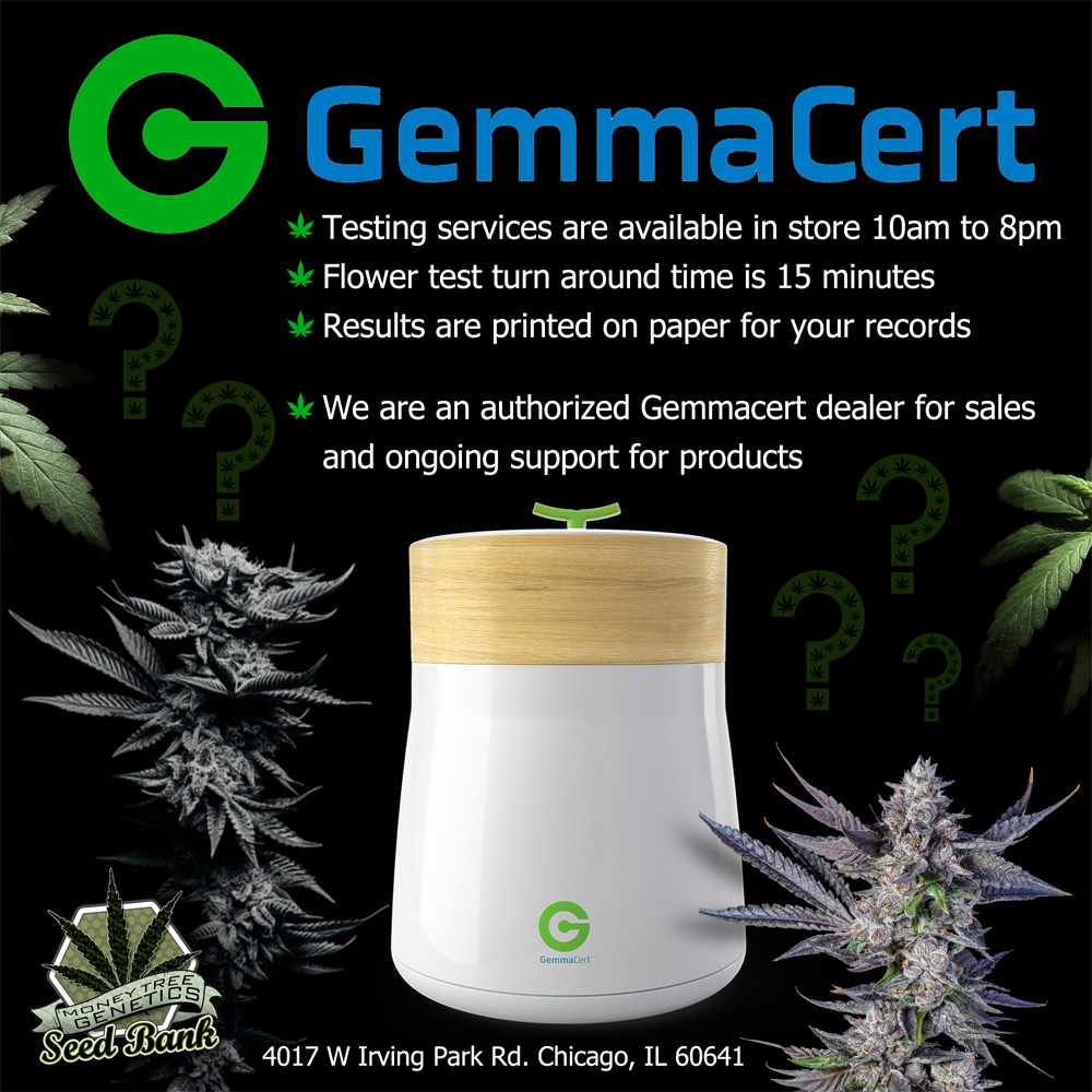 Read more about the article Certified GemmaCert testing provider