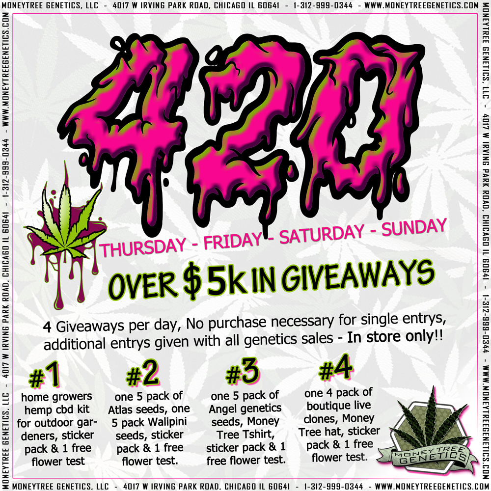 Read more about the article 420 Weekend Chicago