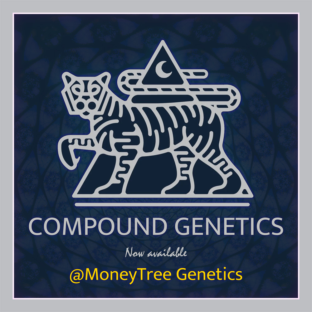 You are currently viewing Compound Genetics at MoneyTree Genetics Chicago