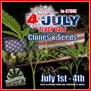 Read more about the article July 4th Holiday cannabis seed & clone sale