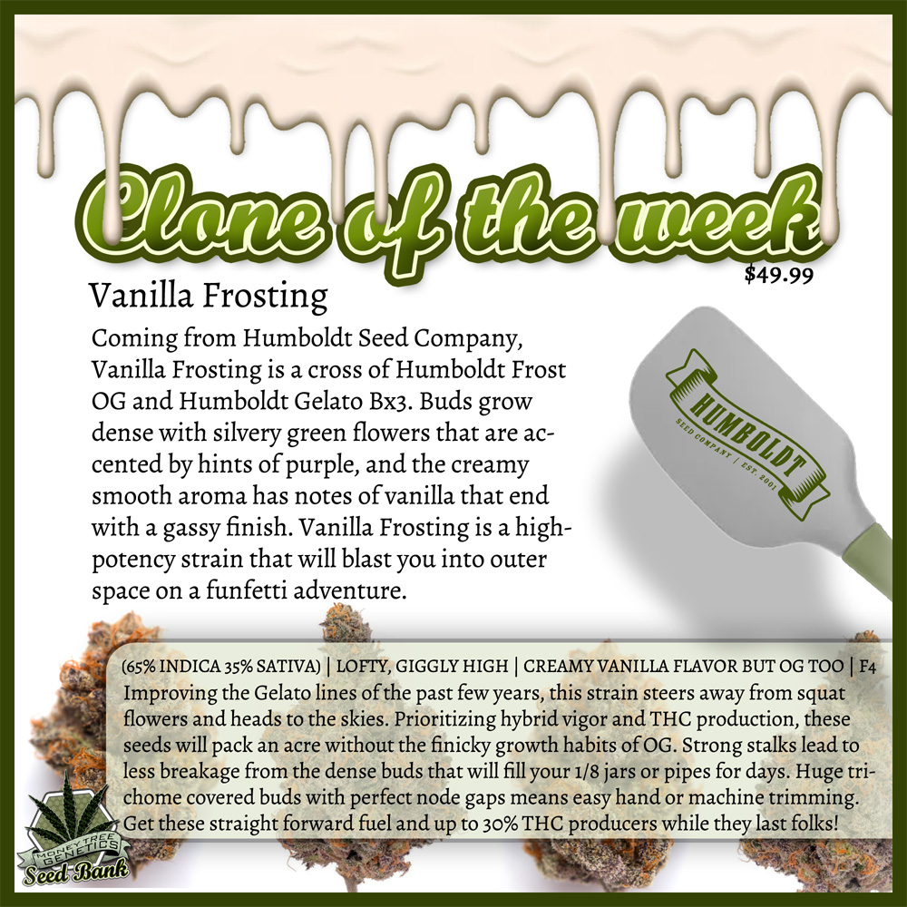 Read more about the article Vanilla frosting clone of the week