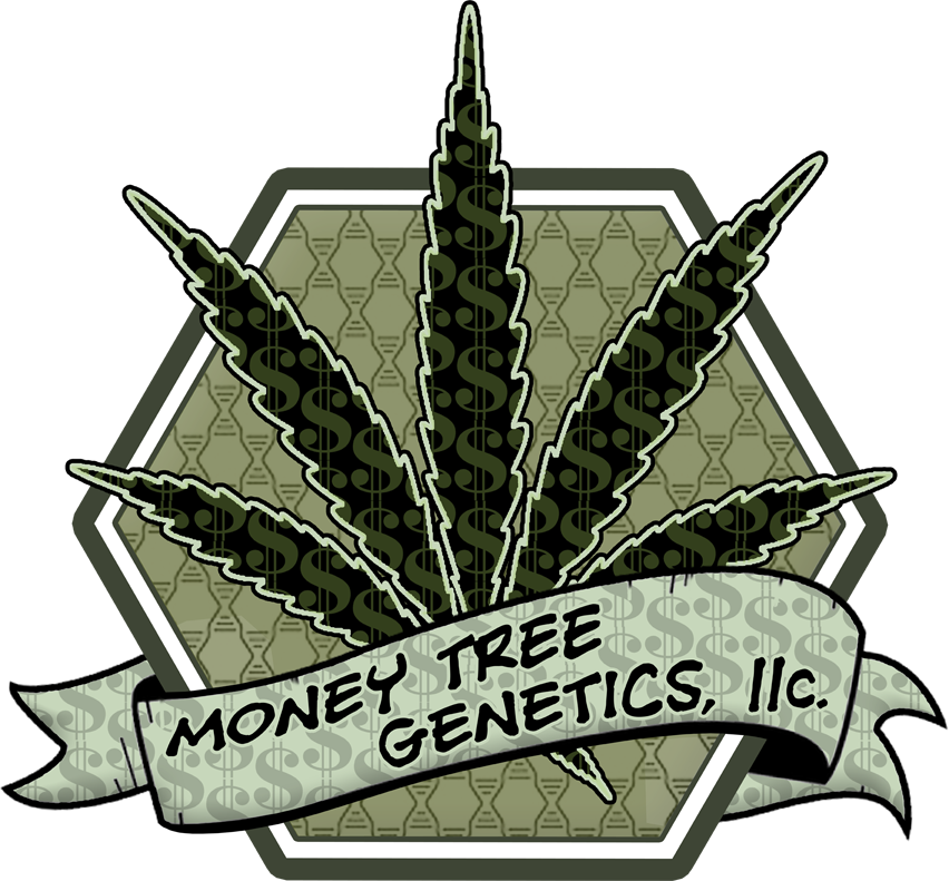 Money Tree Genetics