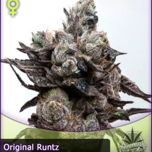 MTG > Runtz