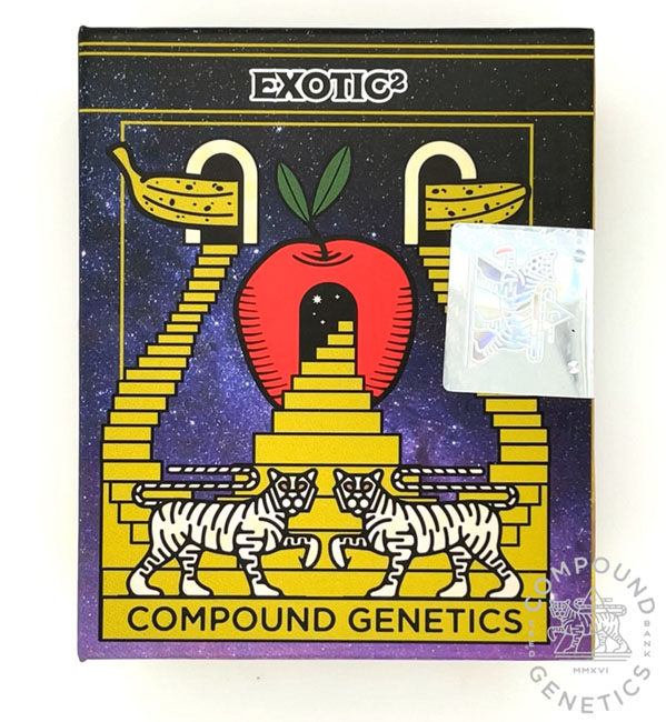 COMPOUND GENETICS > EXOTIC2 (RED POP x APPLES & BANANAS) 3 Feminized Photoperiod Seeds + 2 Extra for 5 total seeds...