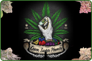 Green Luster Phenos Cannabis Seeds. Available at MoneyTree Genetics Seed Bank Chicago