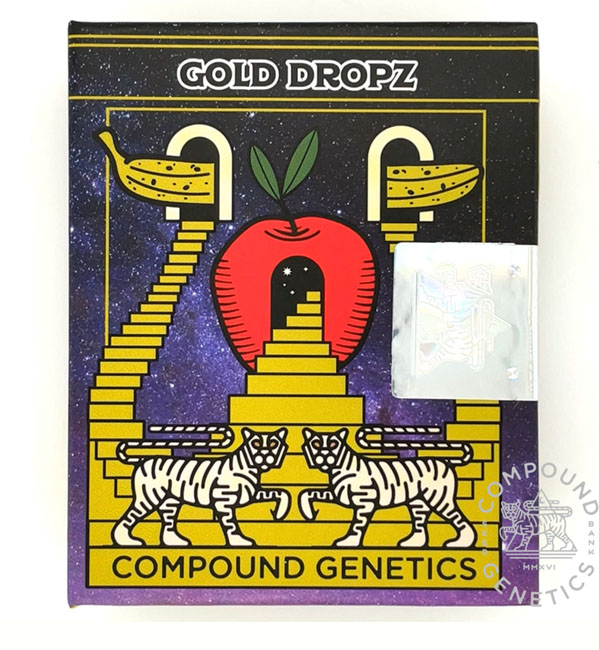 COMPOUND GENETICS > GOLD DROPZ (SPRITZER x APPLES & BANANAS) Feminized Photoperiod