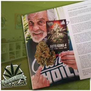 Read more about the article Tommy Chong Auto Kong 4 with Paradise seeds
