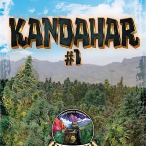 LANDRACE WARDEN > Kandahar Arghandab #1