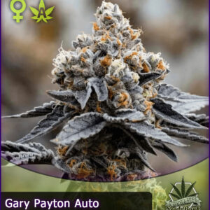 MTG > Gary Payton Auto