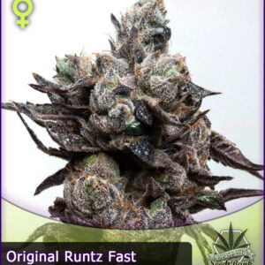 MTG > Runtz Fast Flower