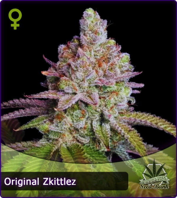 MTG > Zkittlez